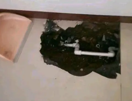 顺平卫生间测漏水多少钱